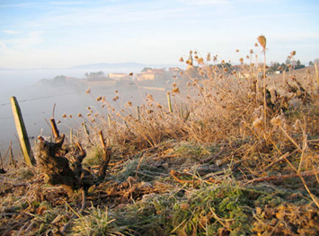 gite beaujolais